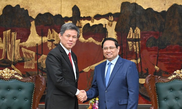 Vietnam, Singapore advance strategic partnership with high-level meeting 