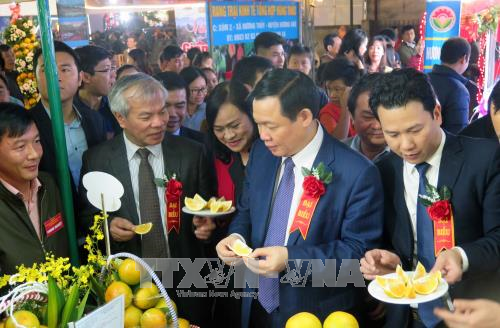 ประชาสัมพันธ์และเชิดชูเครื่องหมายการค้าของส้มและสินค้าเกษตรจังหวัดห่าติ๋ง