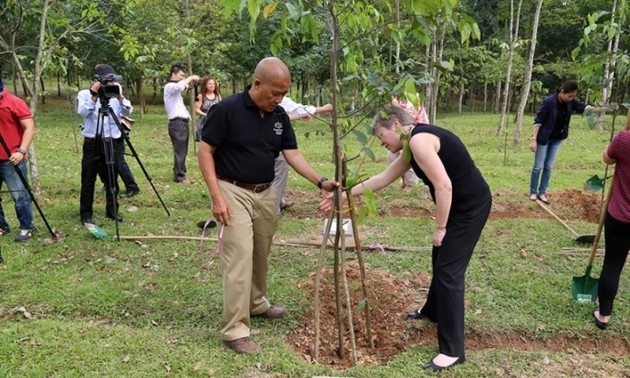 Peace Trees: sprouts on the land of bombs and mines