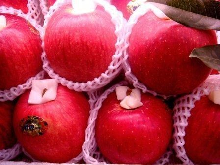 Japanese apples re-enter Vietnamese market