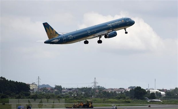 越南航空公司吸引比利时游客前来越南旅游