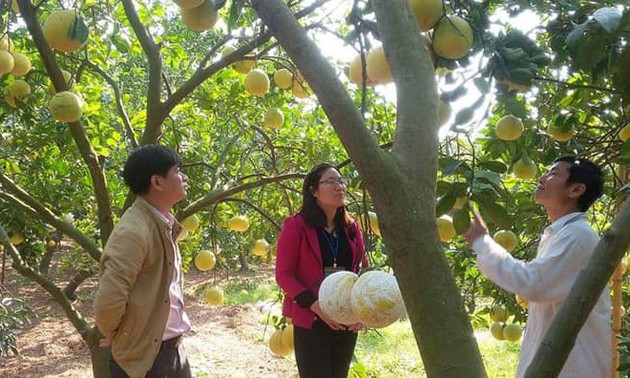 新农村乡的迎春气氛