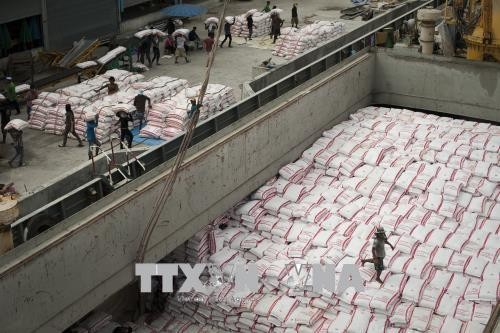 东盟承诺在新冠肺炎大流行期间确保粮食安全