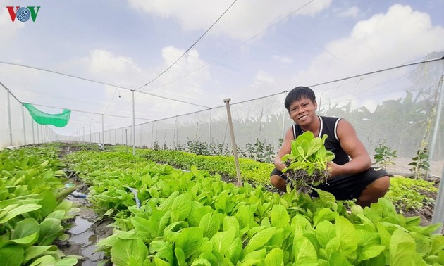 乌明下森林的新活力