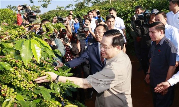 越南​国会主席视察山罗咖啡种植区并出席山罗咖啡加工厂落成典礼