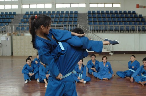 Verbreitung Vovinam in Algerien