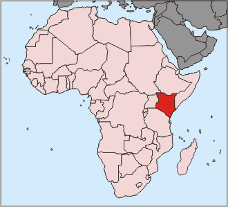 Tote und Verletzte bei Angriff in Kenia