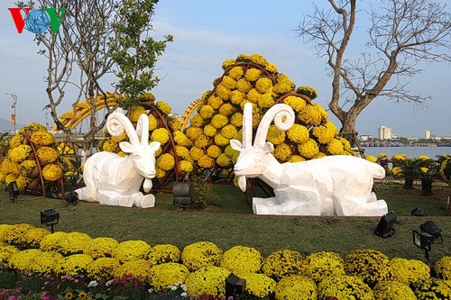 Da Nang: bunte und spektakuläre Lichter auf der Blumen-Straße Bach Dang