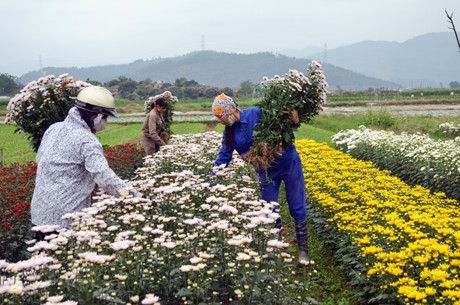 Moderne Genossenschaften schaffen neue Impulse für Landwirtschaftsentwicklung