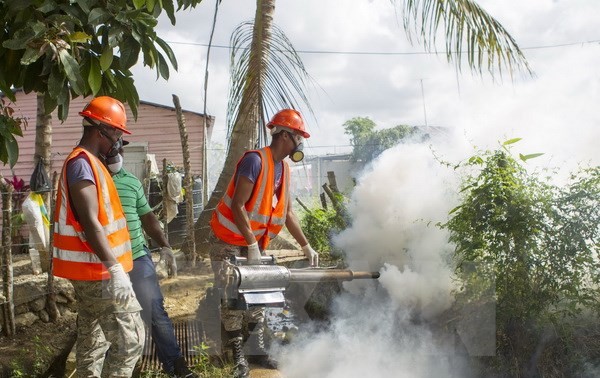 Zika in Lateinamerika: Gesundheitsminister treffen sich in Montevideo