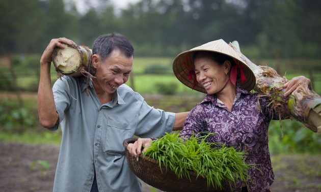 Vietnam erzielt viele Erfolge bei Gleichstellung der Geschlechter   