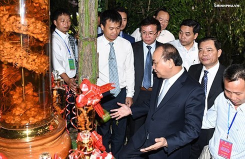 Premierminister Nguyen Xuan Phuc setzt auf Ginseng Ngoc Linh