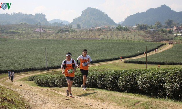 Mehr als 3.000 Läufer nehmen am Marathon teil