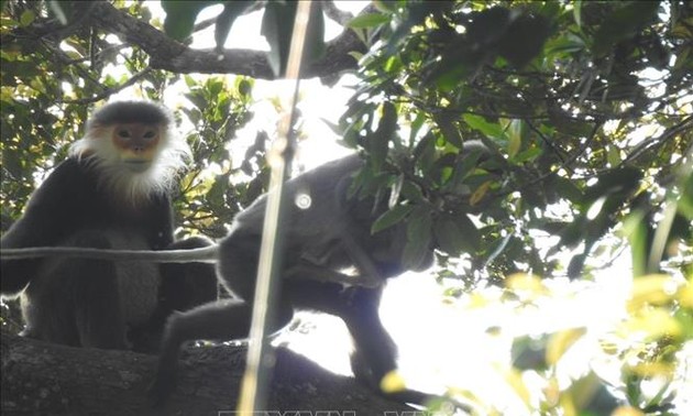  Allianz der Weltkampagne: Vietnam macht Fortschritte beim Schutz der Bürger und Bewahrung der Biodiversität