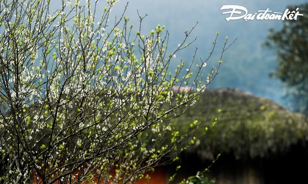 Schönheit von Xa Phin in Ha Giang