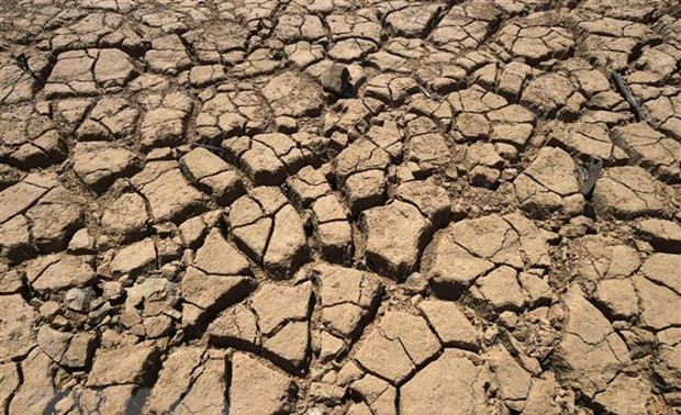 Inselstaaten im pazifischen Raum rufen dazu auf, juristische Verpflichtungen gegenüber dem Klimawandel nachzukommen