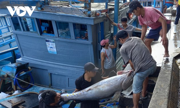 Unterstützung für Entwicklung der Fischerei auf Kreisinsel Truong Sa