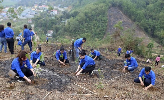 Erziehung zu grünen Kompetenzen für Jugendliche – Schlüssel für grüne Transformation in Vietnam