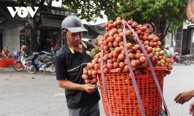 ຊາວກະສິກອນຫາຍເຢືອງຍູ້ແຮງການຫັນປ່ຽນດີຈີຕອນ