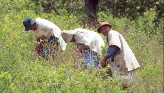 US wants to boost anti-drug cooperation with Bolivia 