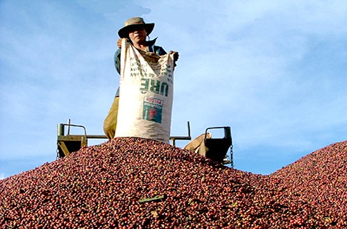 Intercambios comerciales Vietnam-Chile baten nuevo récord