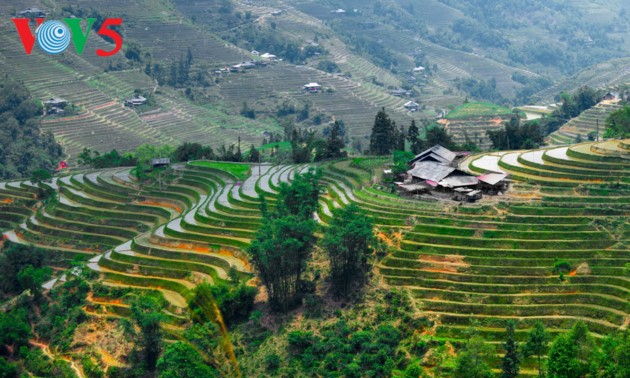 Las terrazas de arroz de Ha Giang en preparación para la nueva siembra