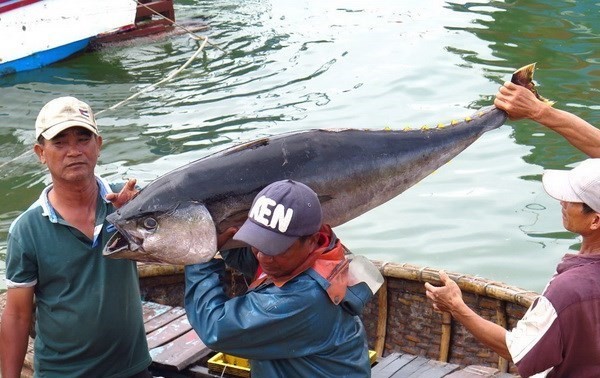 Vietnam determinado por el desarrollo sostenible y responsable de la pesca