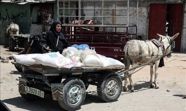 ONU advierte de la escasez de presupuesto para las ayudas alimentarias en Palestina