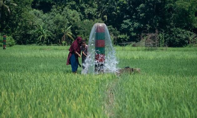 BAD: Asia - Pacífico recibirá más de 20 mil millones de dólares para recuperarse tras covid-19