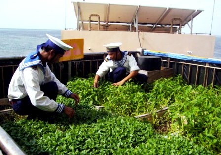 Mini-modelos agrícolas en islas de Truong Sa