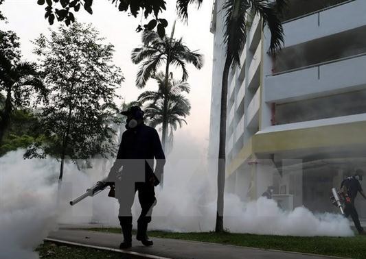 WHO warns of Zika virus spread in Asia-Pacific 