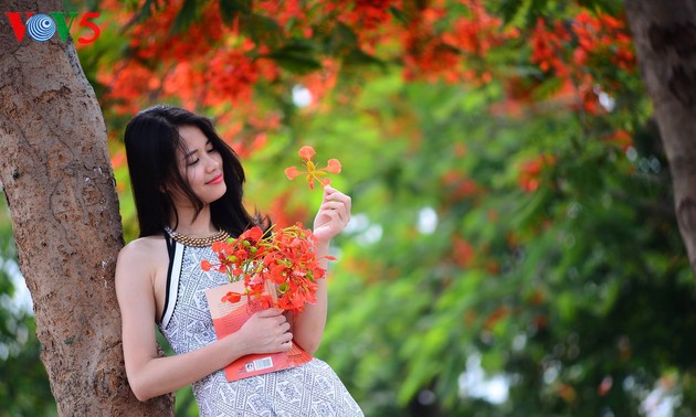 Colorful flowers in Hanoi summer