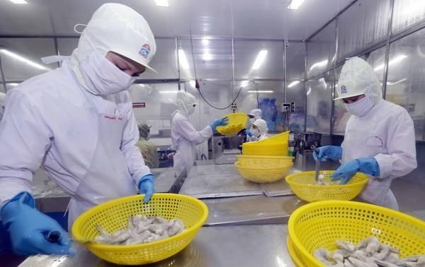 Vietnam aims to earn 4.2 billion USD from shrimp export