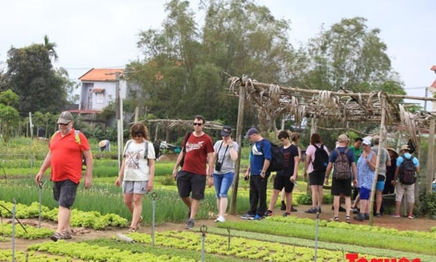 Le nombre de touristes internationaux au Vietnam en hausse constante