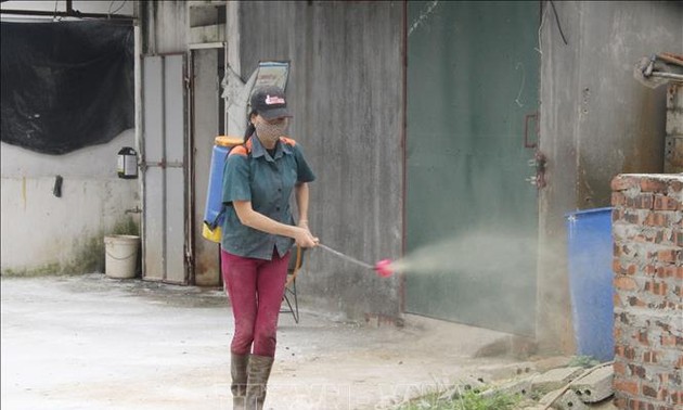 Assistance internationale à la lutte contre la peste porcine africaine au Vietnam