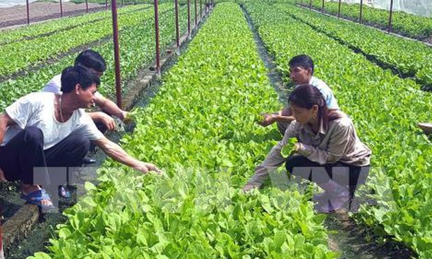 Changer les méthodes de production agricole pour s’adapter au dérèglement climatique