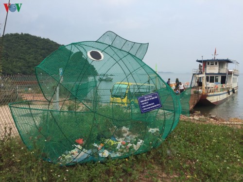 Des poissons-gloutons mangeurs de plastique 