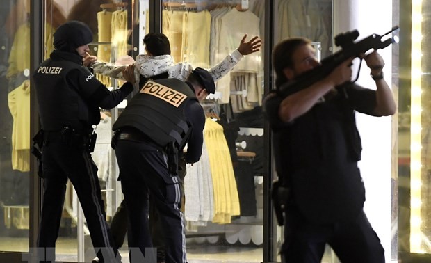 Multiples attaques terroristes à Vienne, l'armée déployée sur place