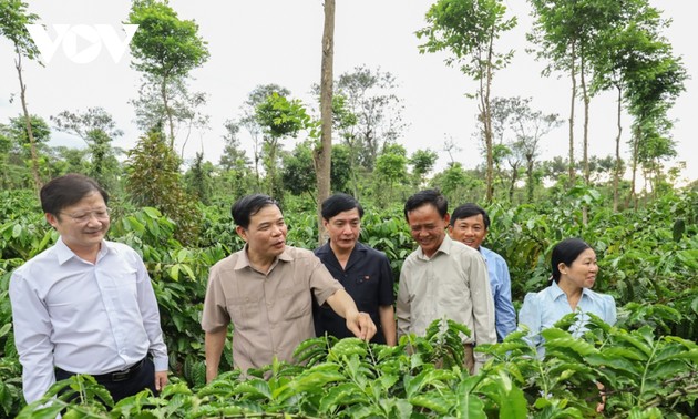 Un café de meilleure qualité pour mieux exporter