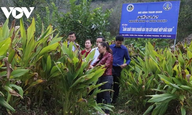 Bac Kan mise sur les coopératives pour accélérer son développement