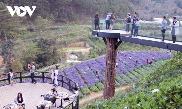 L’agrotourisme à Lâm Dông