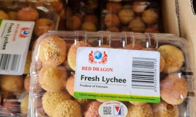 Le litchi vietnamien exporté en France