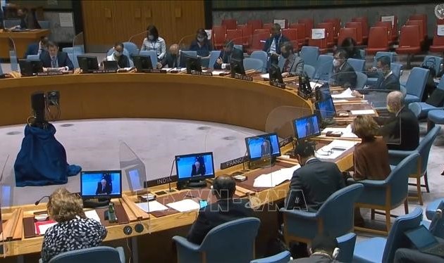 ONU: le Conseil de Sécurité discute des impacts de la pandémie sur la lutte anti-terroriste