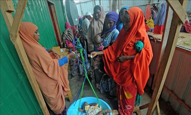 Giec: L’humanité à l’aube des retombées cataclysmiques