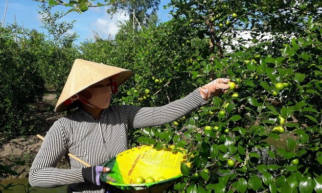 Les fruits de la réussite