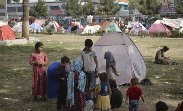 Afghanistan: un million d'enfants risquent de mourir de faim d’ici à la fin de l'année (PAM)