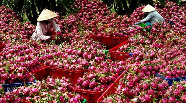 Les échanges commerciaux Vietnam-Chine affichent 165,8 milliards de dollars en 2021