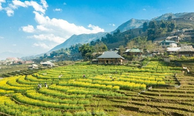 L’agrotourisme a le vent en poupe à Sapa