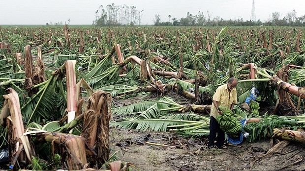 L'ONU avertit qu'El Niño se prolongera jusqu'au milieu de 2024