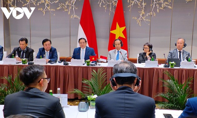 Pham Minh Chinh et Joko Widodo co-président le Dialogue des chefs d’entreprises Vietnam-Indonésie